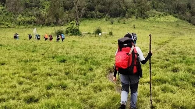Pesona Wisata Gunung Argopuro: Jalur Pendakian Terpanjang