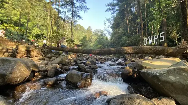 Menyusuri Keindahan Lereng Gunung Ungaran, Surga Wisata Alam yang Menenangkan
